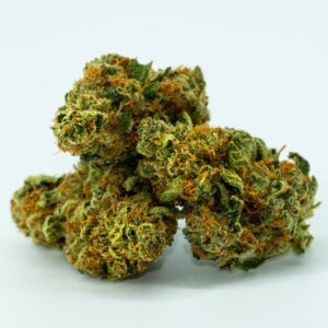 Buy High Quality Sativa Weed Strains in Jakarta and Indonesia